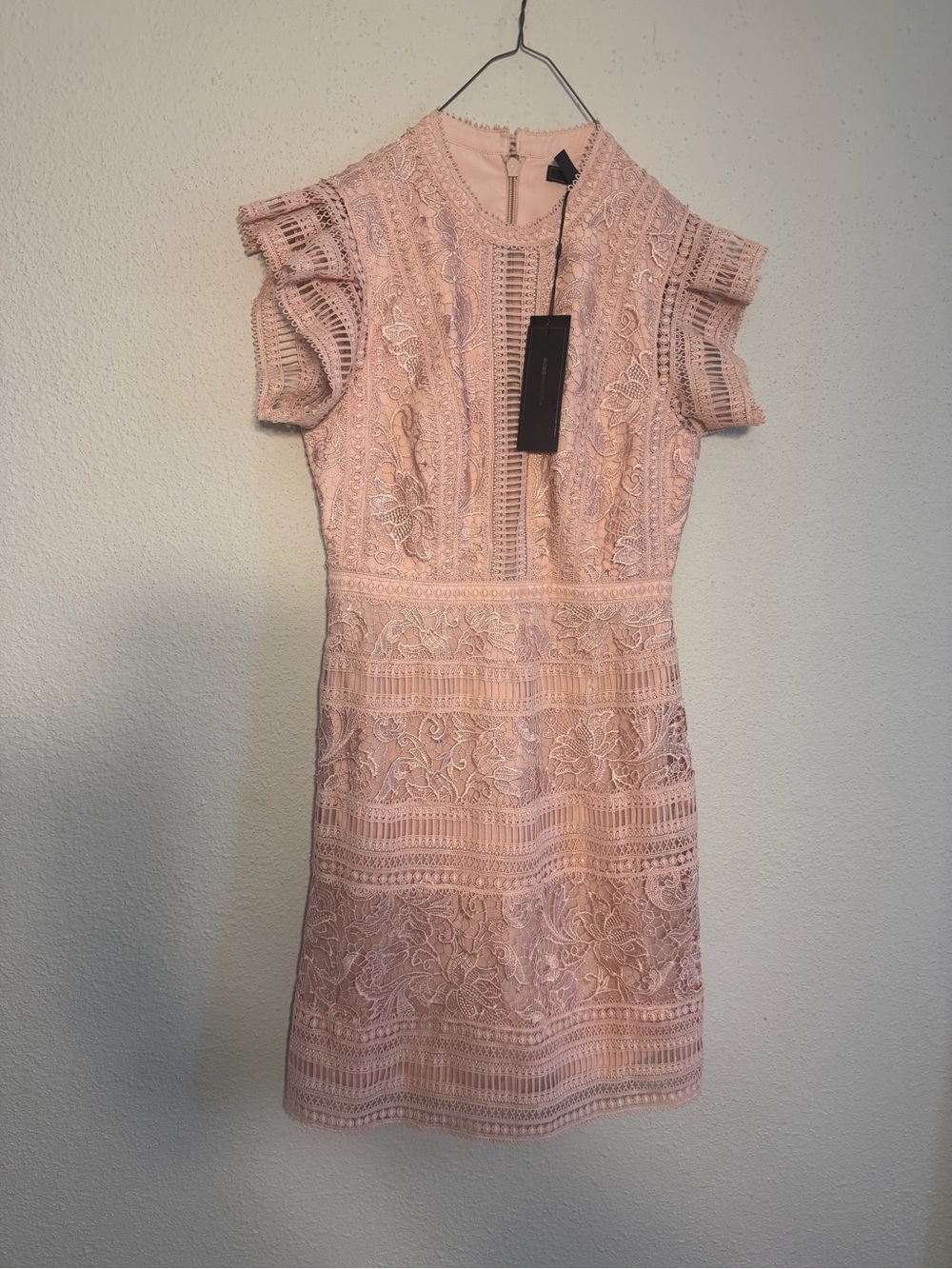 BCBGMaxAzria Blush Pink Lace Mini Dress